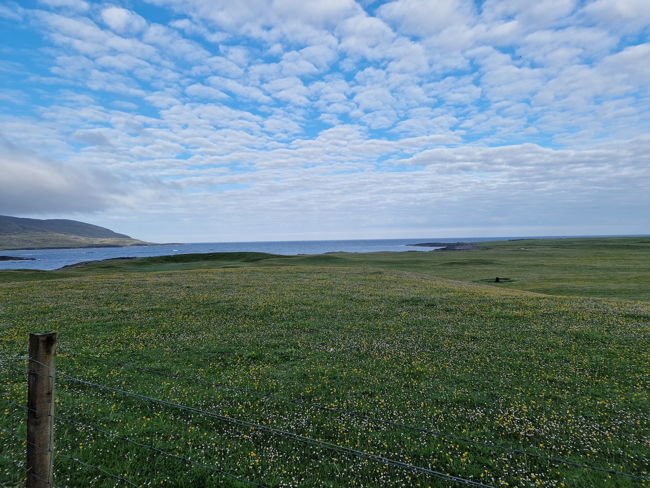 Machair on Barra